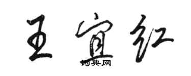 駱恆光王宜紅行書個性簽名怎么寫