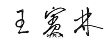 駱恆光王賓林草書個性簽名怎么寫