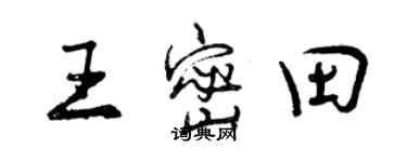 曾慶福王密田行書個性簽名怎么寫