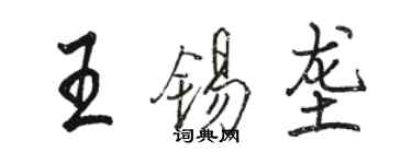 駱恆光王錫壟行書個性簽名怎么寫