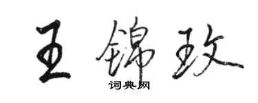 駱恆光王錦玫行書個性簽名怎么寫