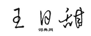 駱恆光王日甜草書個性簽名怎么寫