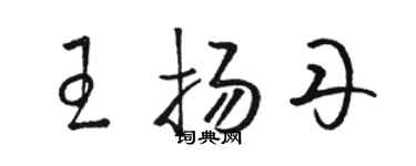 駱恆光王揚丹草書個性簽名怎么寫
