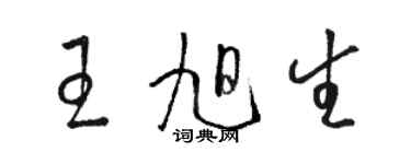 駱恆光王旭生草書個性簽名怎么寫