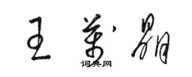 駱恆光王萬晶草書個性簽名怎么寫