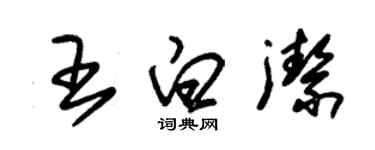 朱錫榮王白潔草書個性簽名怎么寫