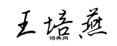 王正良王培燕行書個性簽名怎么寫