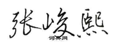 駱恆光張峻熙行書個性簽名怎么寫