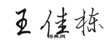 駱恆光王佳棟行書個性簽名怎么寫