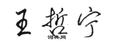 駱恆光王哲寧行書個性簽名怎么寫