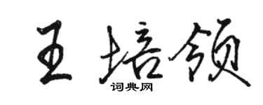 駱恆光王培領行書個性簽名怎么寫