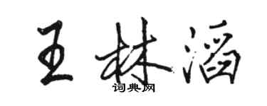 駱恆光王林滔行書個性簽名怎么寫
