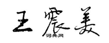 曾慶福王震美行書個性簽名怎么寫