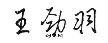 駱恆光王勁羽行書個性簽名怎么寫