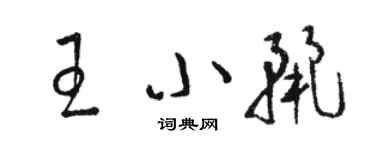 駱恆光王小麗草書個性簽名怎么寫