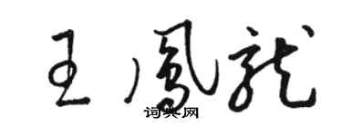 駱恆光王鳳龍草書個性簽名怎么寫