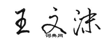 駱恆光王文沫行書個性簽名怎么寫