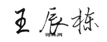 駱恆光王辰棟行書個性簽名怎么寫