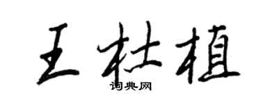王正良王杜植行書個性簽名怎么寫