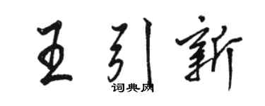 駱恆光王引新行書個性簽名怎么寫