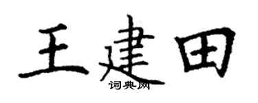 丁謙王建田楷書個性簽名怎么寫