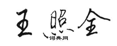 駱恆光王照全行書個性簽名怎么寫