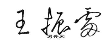 駱恆光王振雷草書個性簽名怎么寫