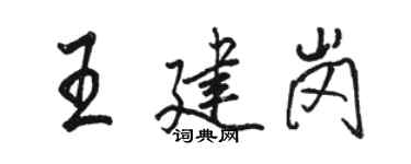 駱恆光王建崗行書個性簽名怎么寫