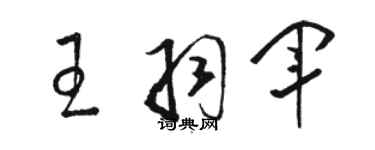 駱恆光王羽軍草書個性簽名怎么寫