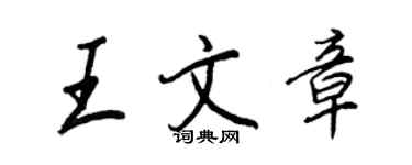 王正良王文章行書個性簽名怎么寫