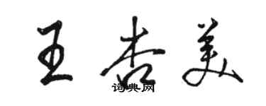 駱恆光王杏美行書個性簽名怎么寫