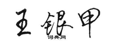 駱恆光王銀甲行書個性簽名怎么寫
