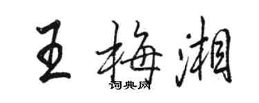 駱恆光王梅湘行書個性簽名怎么寫