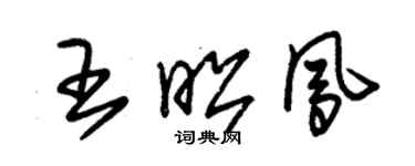 朱錫榮王昭鳳草書個性簽名怎么寫