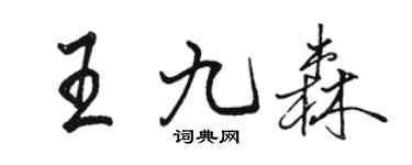 駱恆光王九森行書個性簽名怎么寫