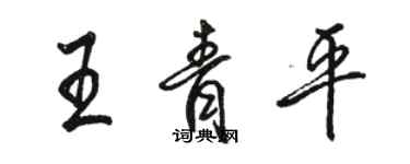 駱恆光王青平行書個性簽名怎么寫