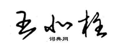 朱錫榮王北柱草書個性簽名怎么寫