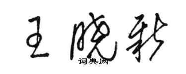 駱恆光王曉新草書個性簽名怎么寫