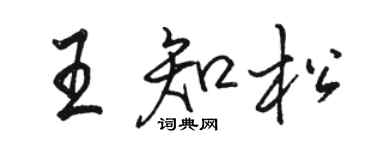 駱恆光王知松行書個性簽名怎么寫