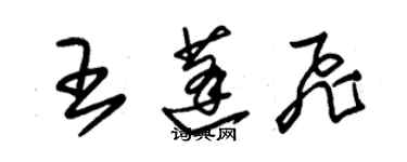 朱錫榮王蓬飛草書個性簽名怎么寫