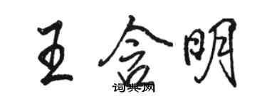 駱恆光王含明行書個性簽名怎么寫