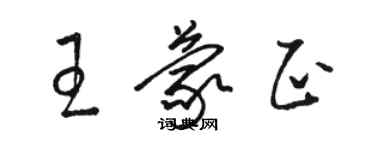 駱恆光王蒙正草書個性簽名怎么寫