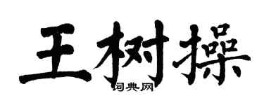 翁闓運王樹操楷書個性簽名怎么寫