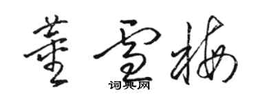 駱恆光董雪梅草書個性簽名怎么寫