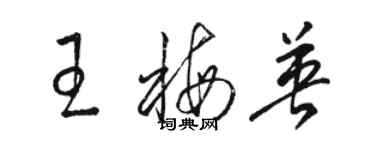 駱恆光王梅英草書個性簽名怎么寫