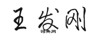 駱恆光王發剛行書個性簽名怎么寫