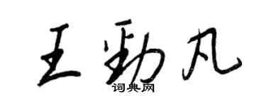 王正良王勁凡行書個性簽名怎么寫