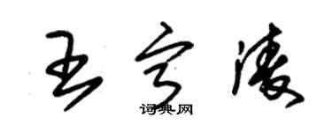 朱錫榮王寧凌草書個性簽名怎么寫