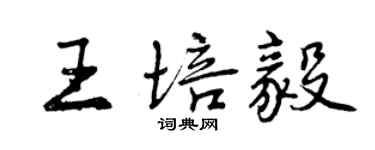 曾慶福王培毅行書個性簽名怎么寫