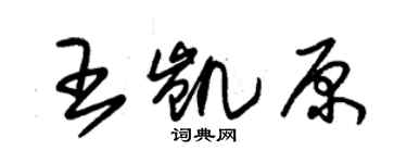 朱錫榮王凱原草書個性簽名怎么寫